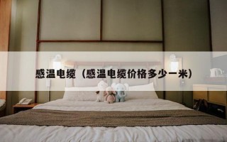 感温电缆（感温电缆价格多少一米）