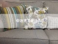 中冶天工是什么？