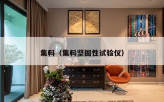 集料（集料坚固性试验仪）