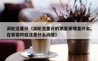 涡轮流量计（涡轮流量计的测量原理是什么,在安装时应注意什么问题）