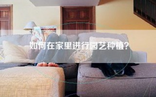 如何在家里进行园艺种植？