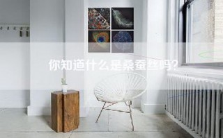 你知道什么是桑蚕丝吗？