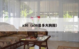 a36（a36是多大胸围）