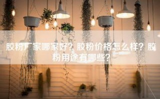 胶粉厂家哪家好？胶粉价格怎么样？胶粉用途有哪些？