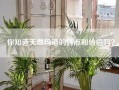 你知道天然玛瑙的特点和价值吗？
