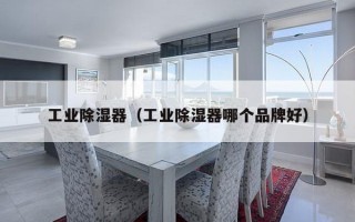 工业除湿器（工业除湿器哪个品牌好）