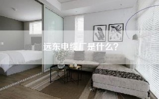 远东电缆厂是什么？