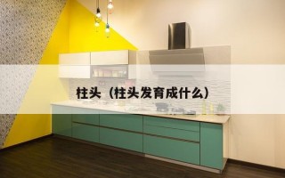 柱头（柱头发育成什么）