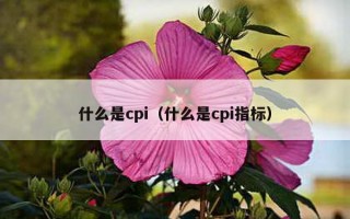 什么是cpi（什么是cpi指标）