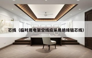 芯线（临时用电架空线应采用绝缘铝芯线）