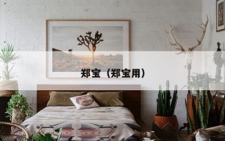 郑宝（郑宝用）