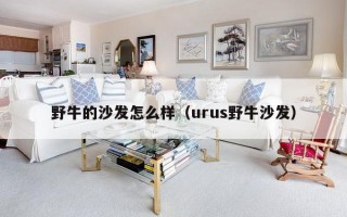 野牛的沙发怎么样（urus野牛沙发）