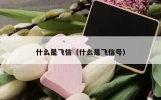 什么是飞信（什么是飞信号）