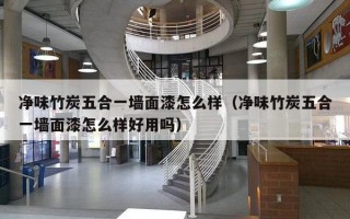 净味竹炭五合一墙面漆怎么样（净味竹炭五合一墙面漆怎么样好用吗）