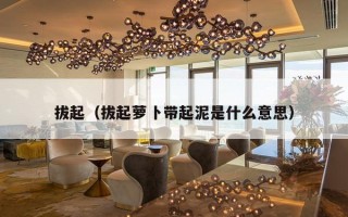 拔起（拔起萝卜带起泥是什么意思）