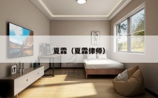 夏霖（夏霖律师）