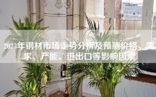 2023年钢材市场走势分析及预测价格、需求、产能、进出口等影响因素
