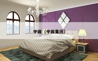 中固（中固集团）