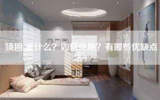 顶固(是什么？如何使用？有哪些优缺点？)