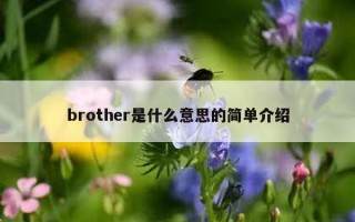 brother是什么意思的简单介绍