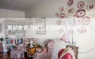 黑郁金香(为什么它的颜色如此特别)