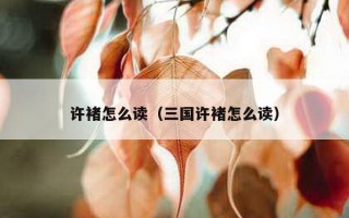 许褚怎么读（三国许褚怎么读）