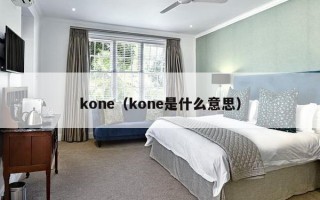 kone（kone是什么意思）