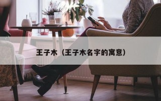 王子木（王子木名字的寓意）