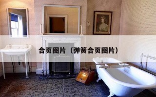 合页图片（弹簧合页图片）