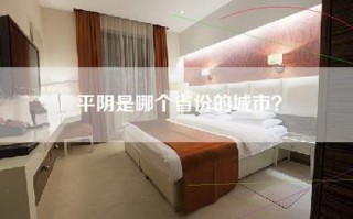 平阴是哪个省份的城市？