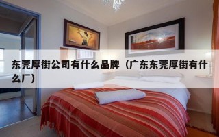 东莞厚街公司有什么品牌（广东东莞厚街有什么厂）