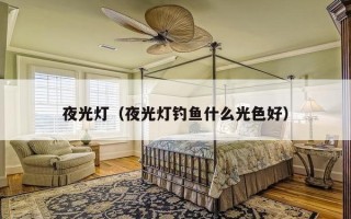 夜光灯（夜光灯钓鱼什么光色好）