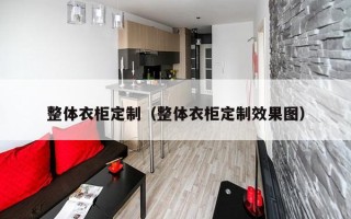 整体衣柜定制（整体衣柜定制效果图）