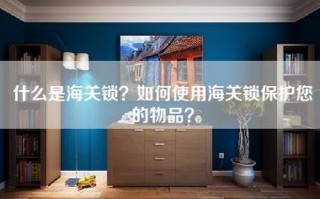 什么是海关锁？如何使用海关锁保护您的物品？