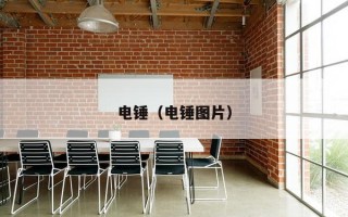 电锤（电锤图片）
