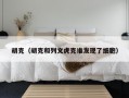 胡克（胡克和列文虎克谁发现了细胞）