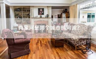肖家河是哪个城市的河流？