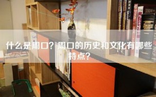 什么是周口？周口的历史和文化有哪些特点？