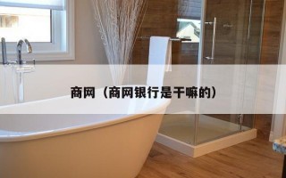 商网（商网银行是干嘛的）