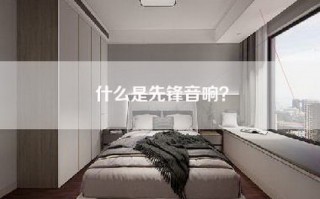 什么是先锋音响？