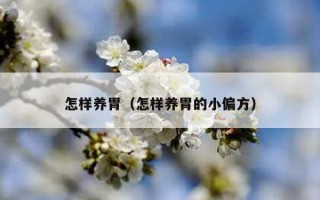 怎样养胃（怎样养胃的小偏方）