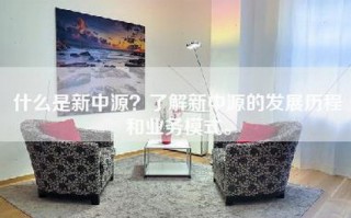 什么是新中源？了解新中源的发展历程和业务模式。