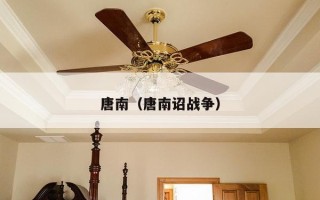 唐南（唐南诏战争）