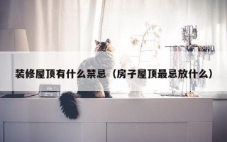 装修屋顶有什么禁忌（房子屋顶最忌放什么）