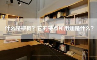 什么是槭树？它的特点和用途是什么？