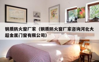 钢质防火窗厂家（钢质防火窗厂家咨询河北大超金属门窗有限公司）
