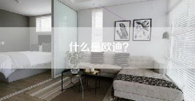 什么是欧迪？