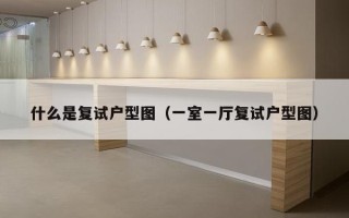 什么是复试户型图（一室一厅复试户型图）