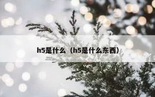 h5是什么（h5是什么东西）