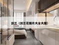 剑兰（剑兰花图片大全大图）